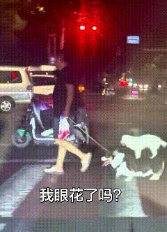 夜黑出门逛街，在路口碰见大哥遛狗嘞。乍一看还以为自己眼花了，大狗身上竟然驮着一