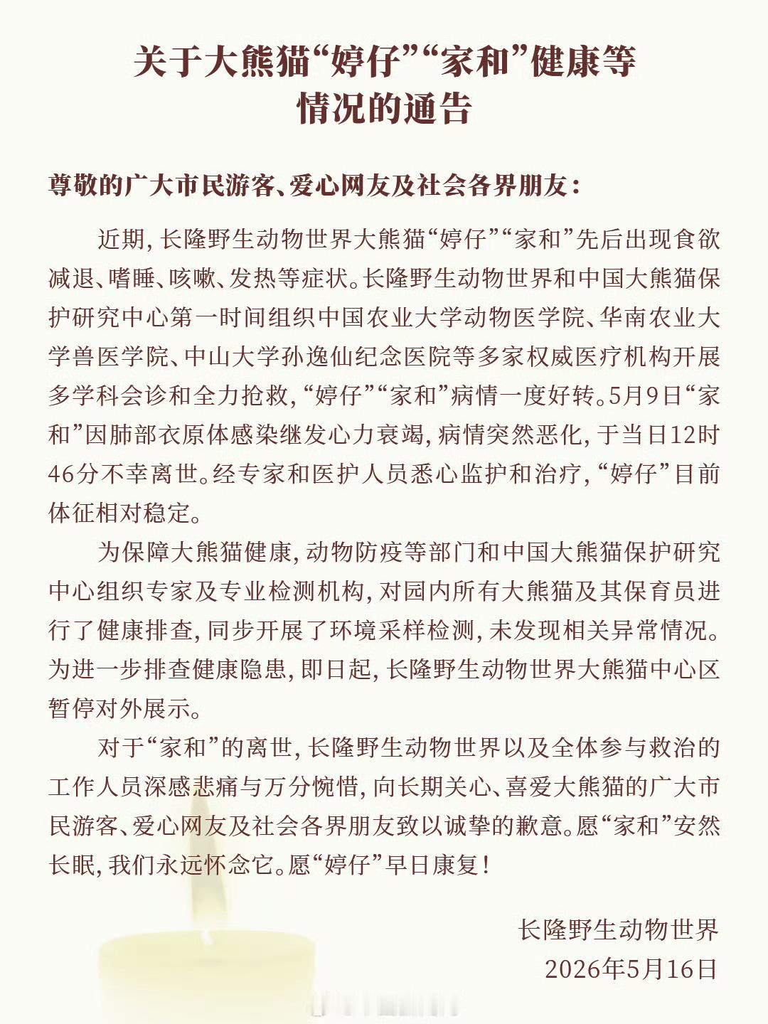 大熊猫家和去世之前就看到有网友说了没想到是真的……