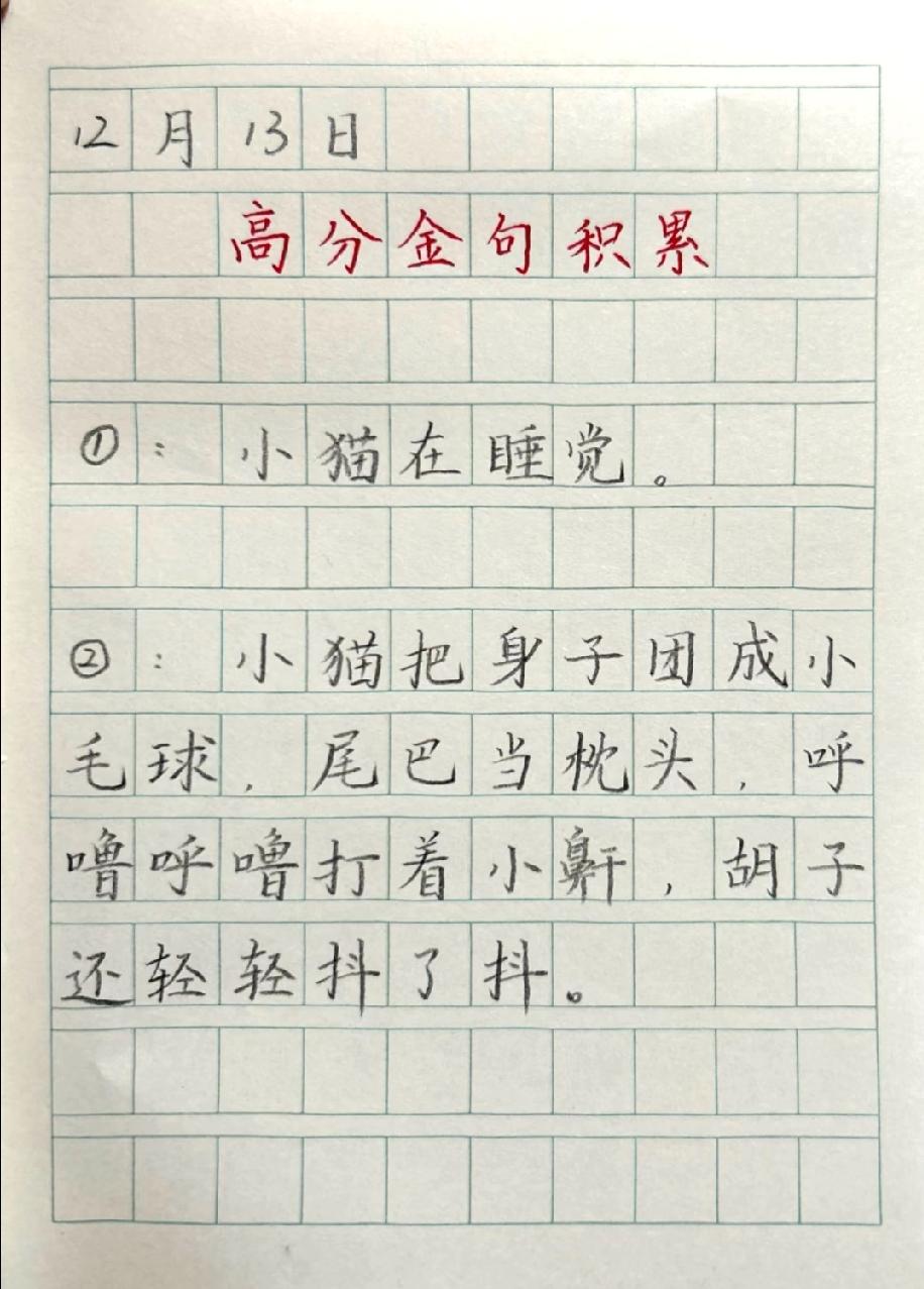 小学生的高分金句火了！“小猫睡觉”这样写，网友：这文笔我服了