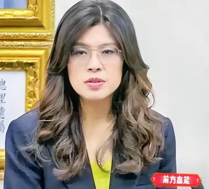 态度大变！对岸传来重磅发声，郑丽文直言：任何逼迫、任何冲突，一概绝不接受。