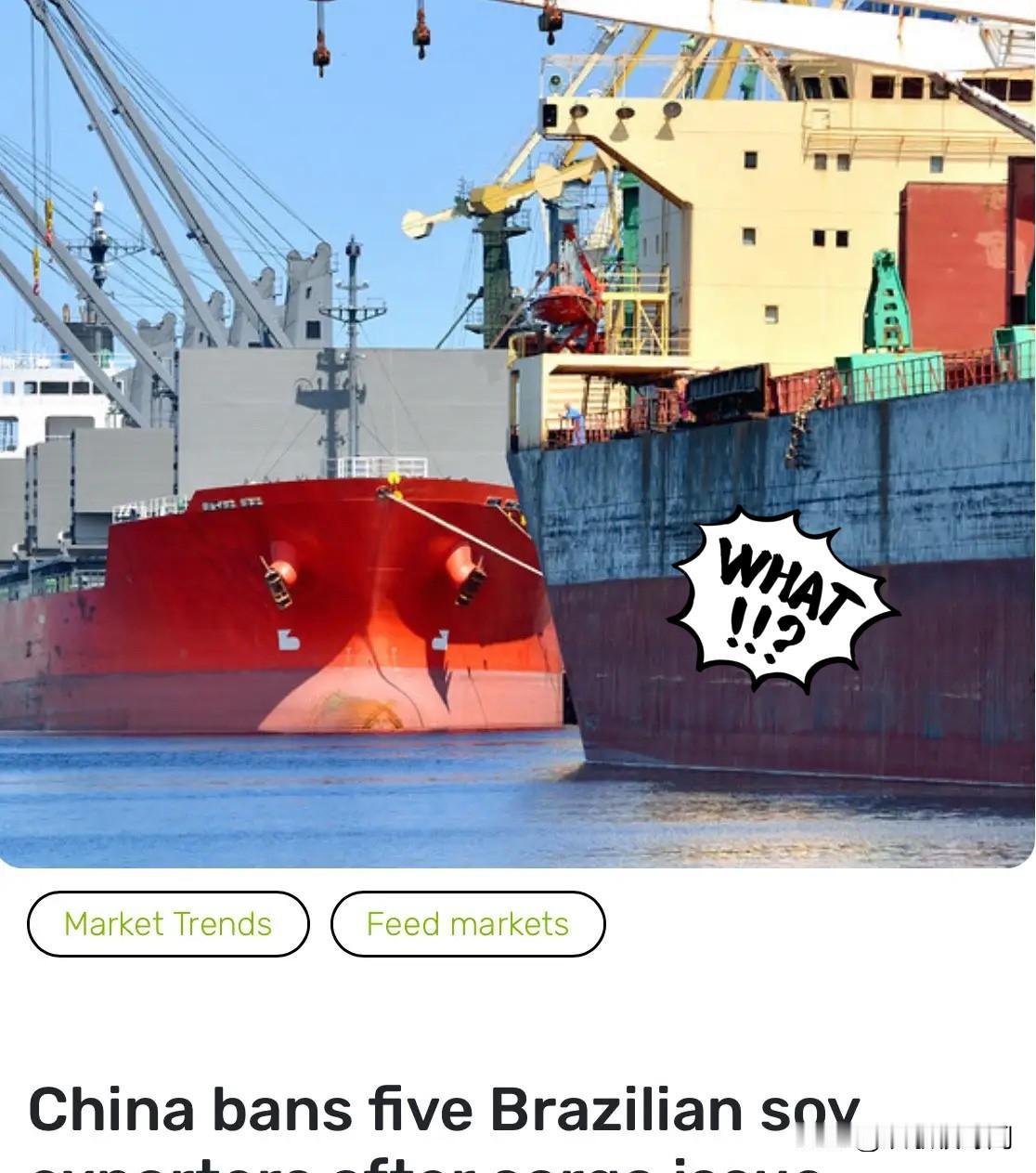 外媒：中国禁止五家巴西大豆出口企业向中国出口大豆！路透社报道，巴西农业部已接