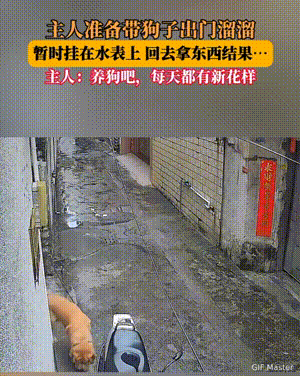 笑不活了！山东，主人准备带狗狗出门溜溜，结果刚到门口发现忘记带手机了。于是顺手把