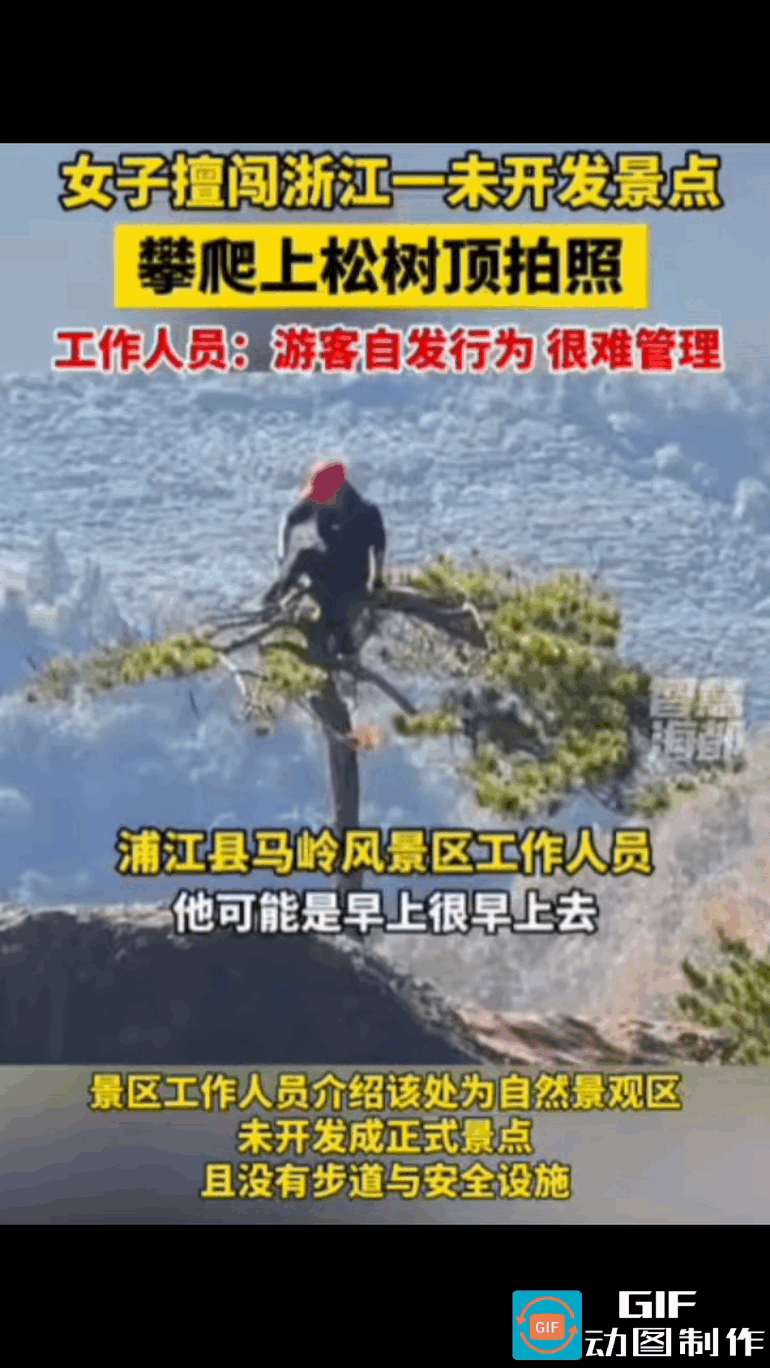 这段站在悬崖松树顶端的视频，终于满足了女子的虚荣心：火爆全网，成为无人不知的网红