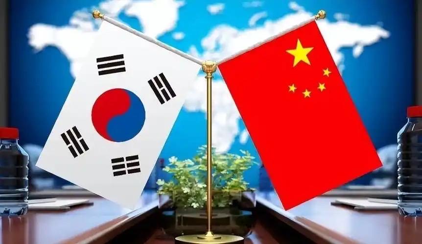 韩国智库大放厥词，看见我们靠拒收美国大豆反制，竟声称韩国也能停止进口中国大白菜。