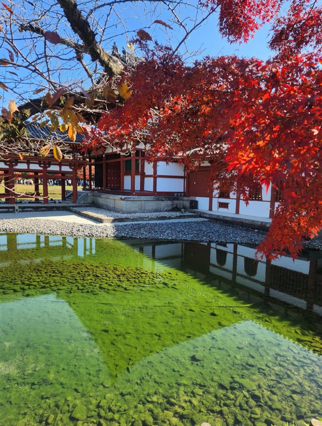 有人在网上发了一张在日本拍摄的照片，说国内没有这么漂亮的地方。谁有比这个更漂