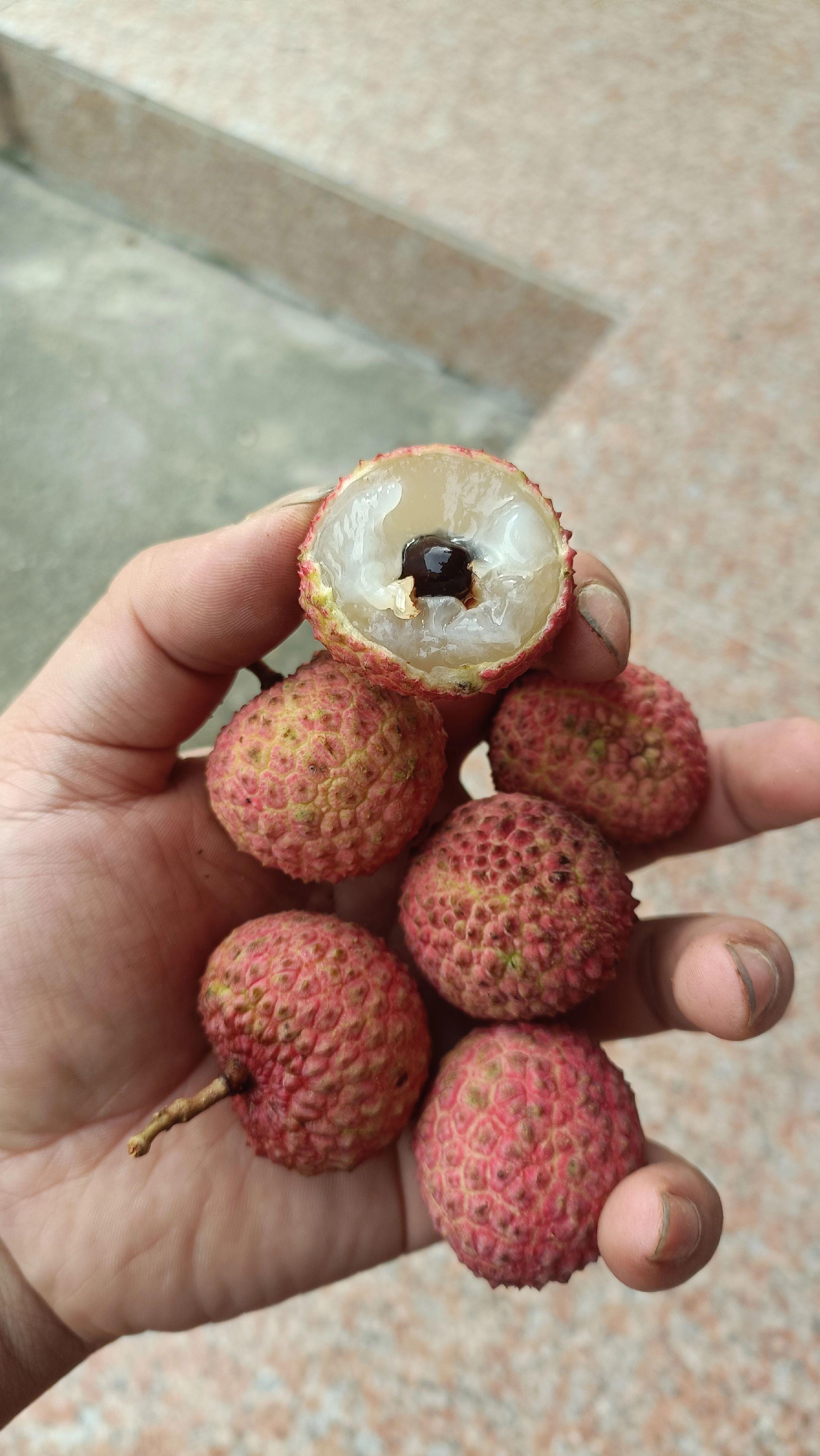 什么品种的荔枝。这荔枝好吃什么品种的