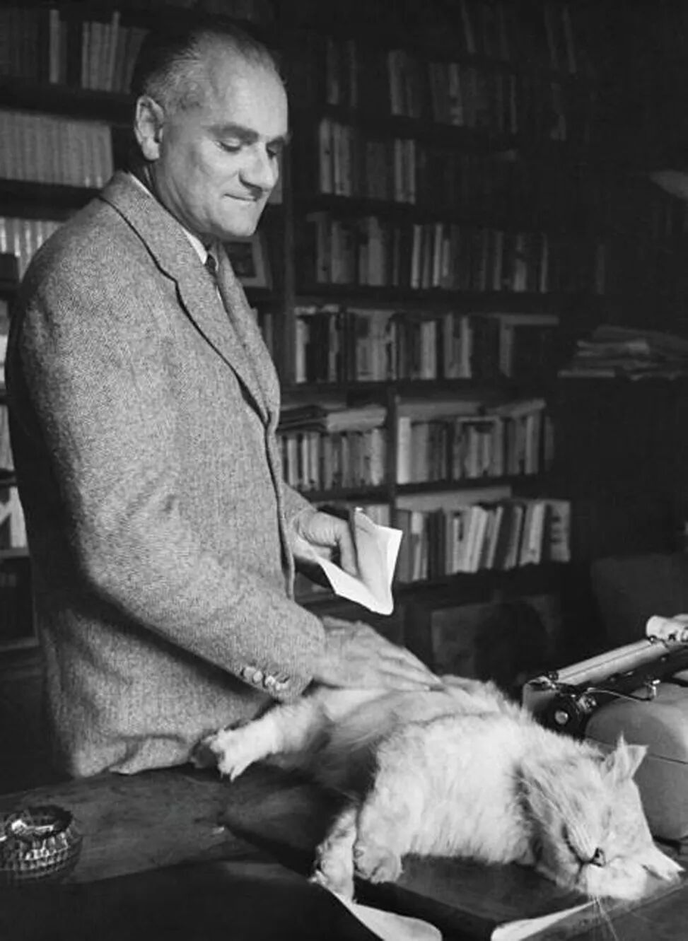 莫拉维亚的动物寓言：揭示人类不安的童话世界