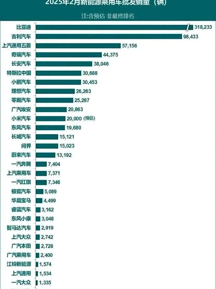 2025年2月份新能源汽车销量排行榜旱的旱死，涝的涝死，冰火两重天啊！