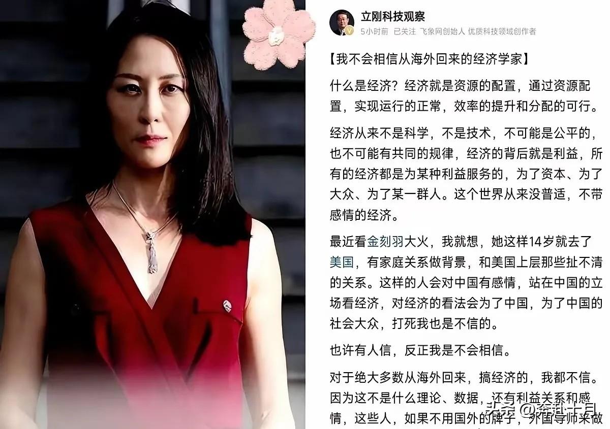 最近那个海归金刻羽和项立刚的事，吵翻了。其实项立刚就说了一句大白话，一句就把