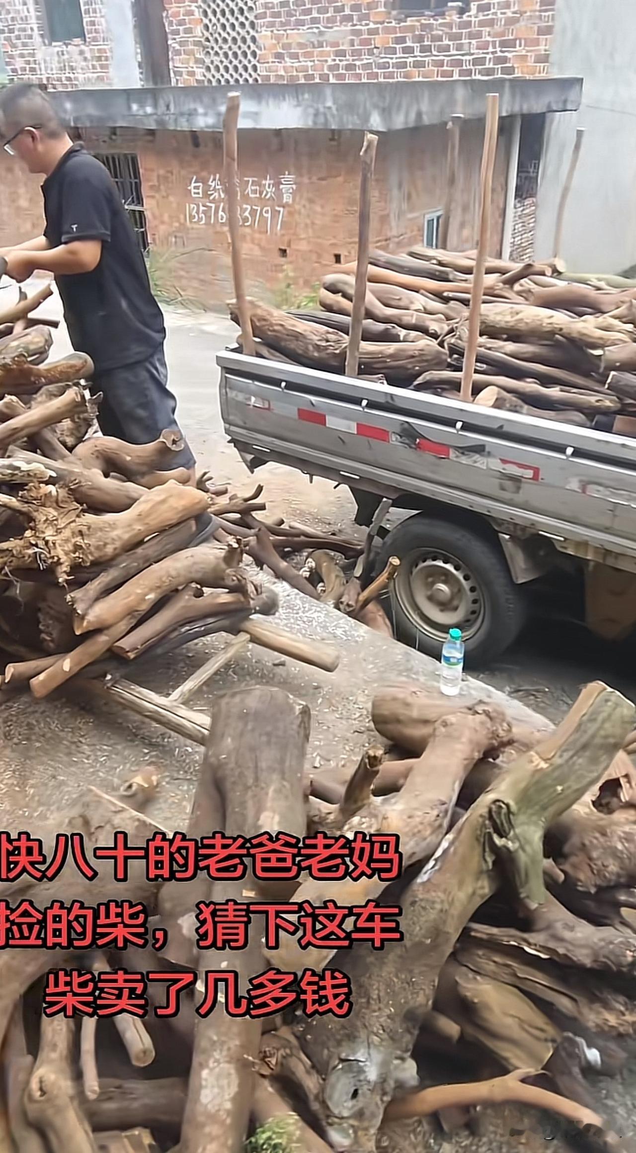捡了半年的柴火卖了多少钱？