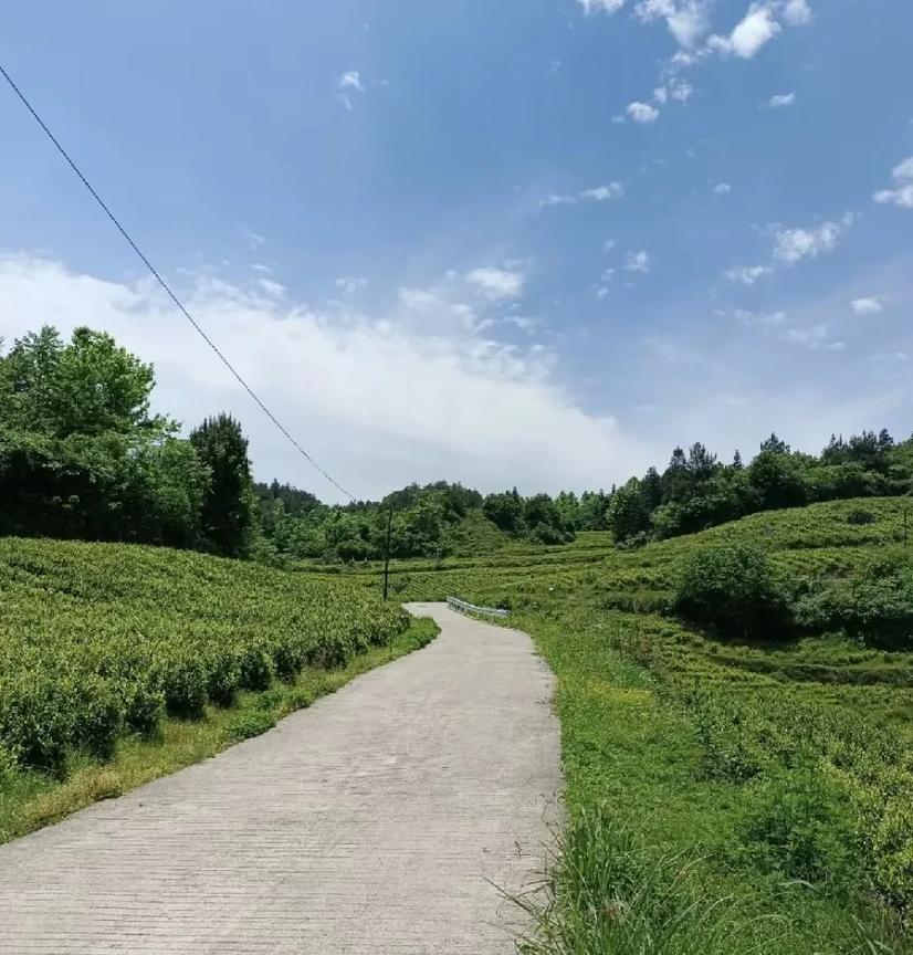 表妹和她弟弟从小就跟着爷爷奶奶，父母在城里打工。表妹比弟弟大五岁，爷爷奶奶干农活