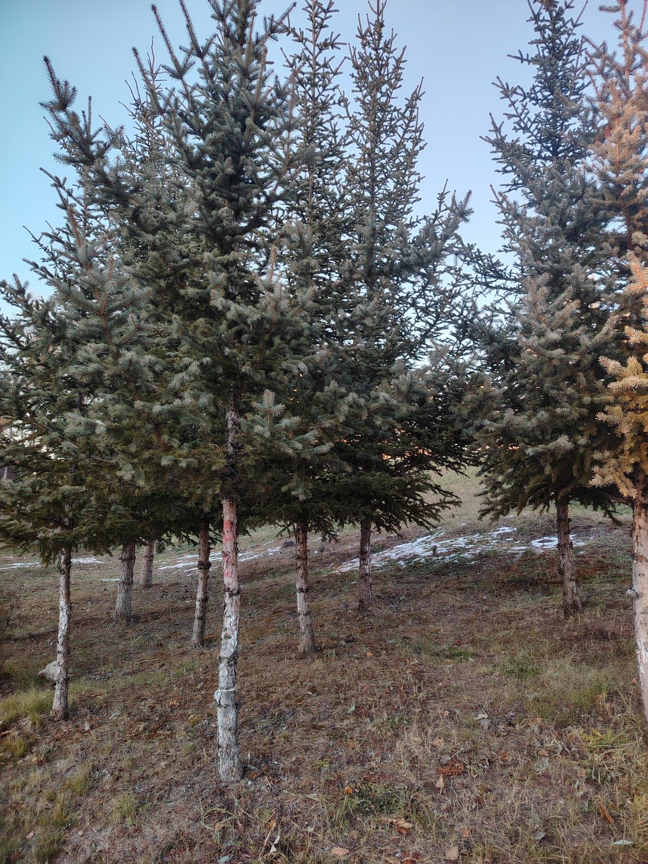 在深圳,有多少钱才能过得不累?在深圳，只要有房，身体健康，每月攒2千也会够用。如