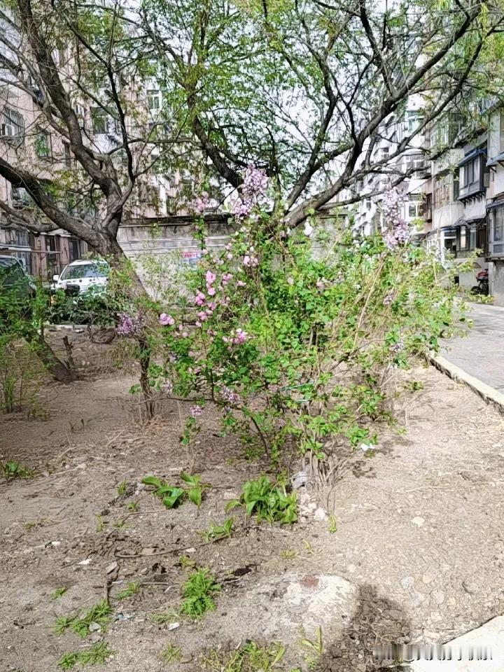 晒出你的本地生活