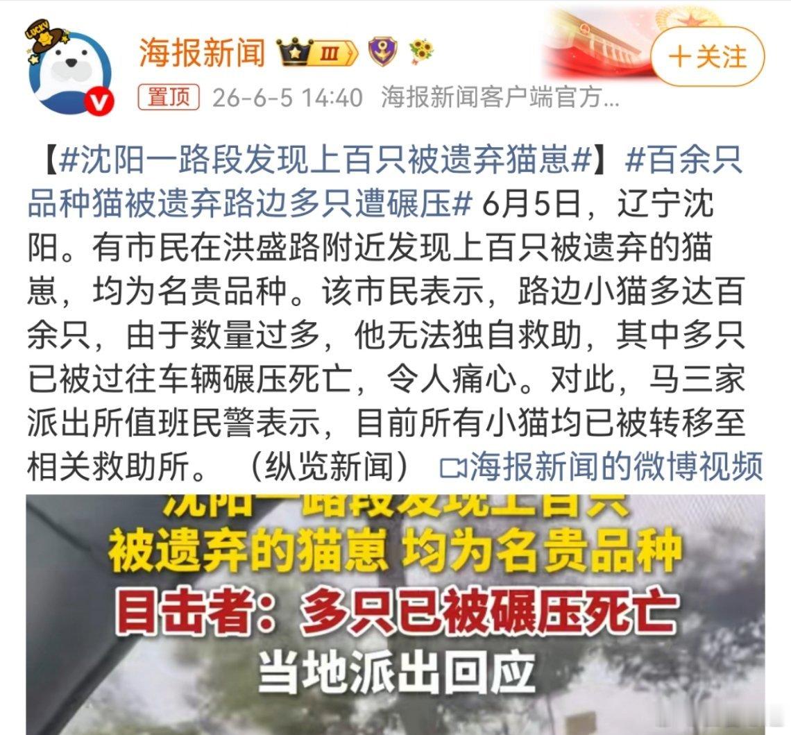 应该入刑，不然会有越来越多类似的情况出现。流浪狗，流浪猫，很多都是来...