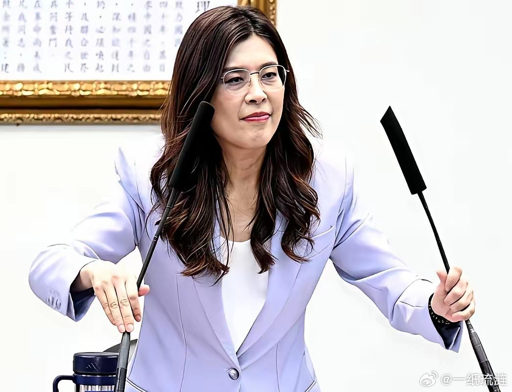 桥都被自己砸了，还谈什么回头。郑丽文把话甩出去，就别想着再往回塞——这点代价，总