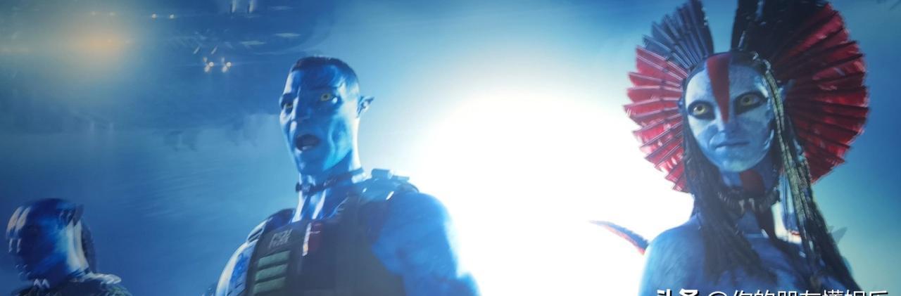 别被卡梅隆骗了，《阿凡达4》根本不是讲战争。它讲的是血脉选择背叛血脉。上校把