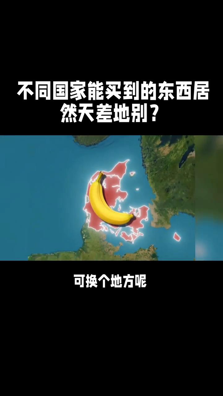 不同国家能买到的东西居然天差地别？·在美国，它可能就是一根黄瓜或者一小包打折薯