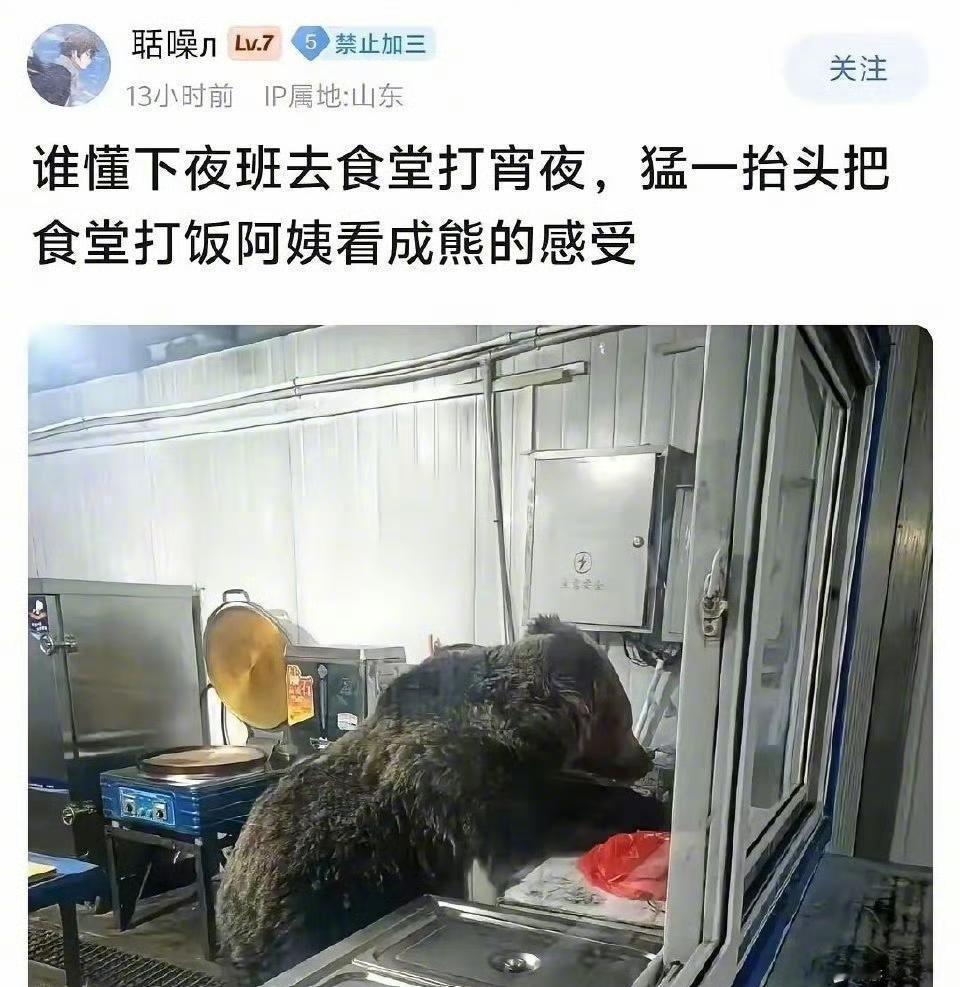 这不是熊吗？😯