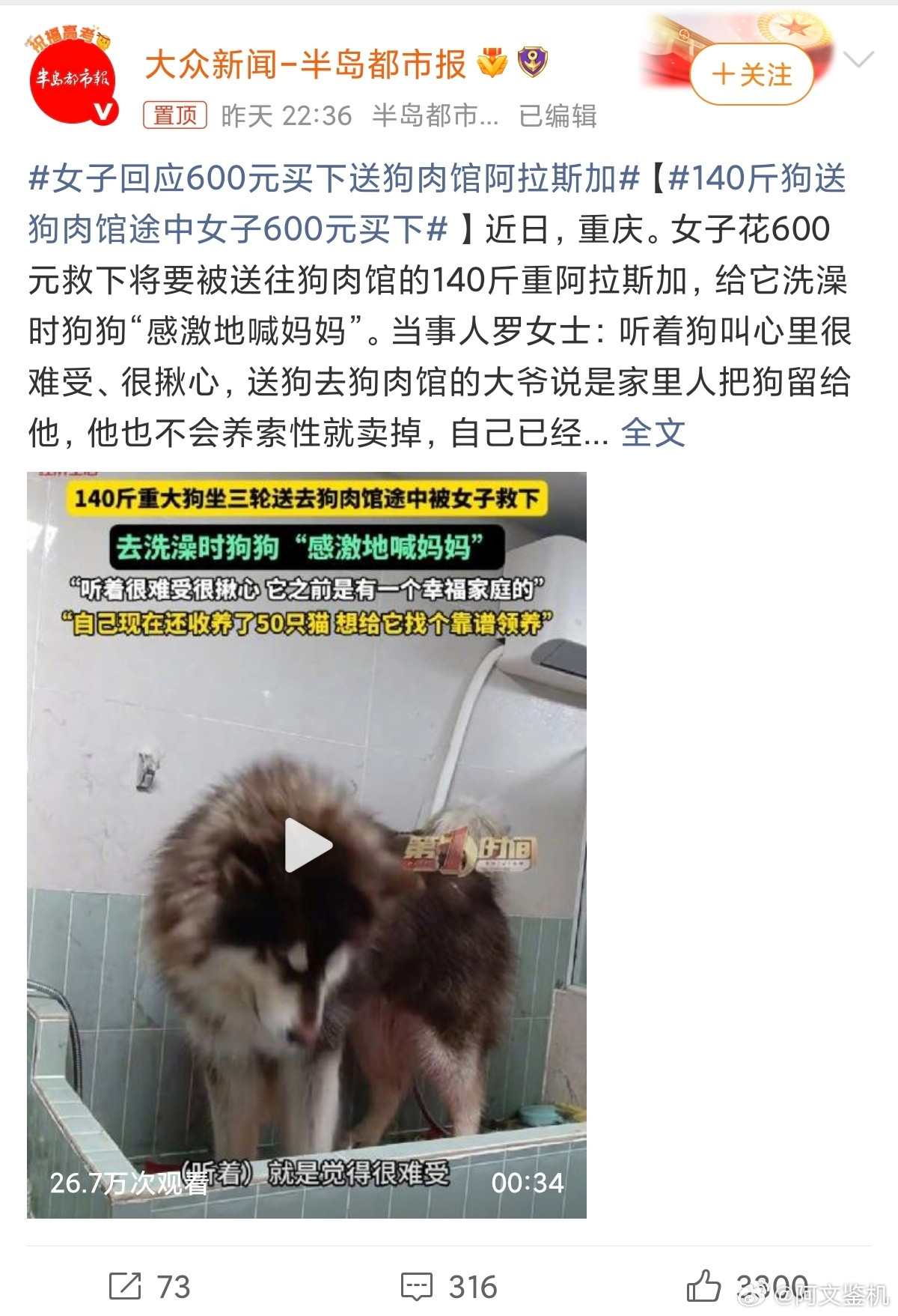 140斤狗送狗肉馆途中女子600元买下唉，看不得这些消息，狗狗养着养着不想养了就