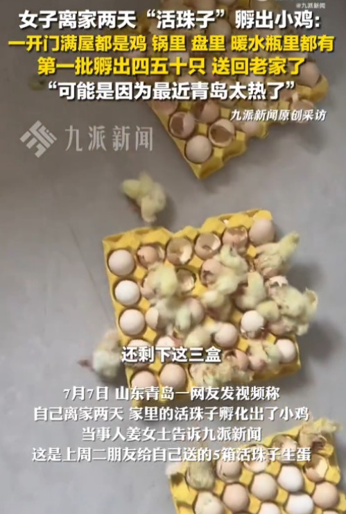 意外的惊喜！”7月7日，山东青岛，一女子因天气炎热离家2天，回家打开门后，全家都