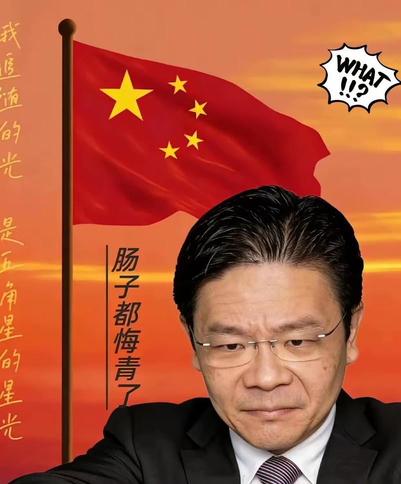 海南封关后，最不开心的人跳出来了！12月19号的彭博经济论坛上，新加坡总理黄