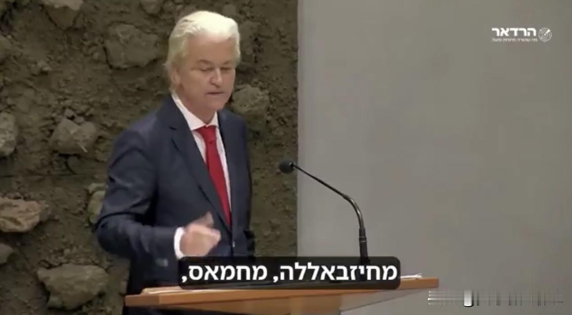 荷兰自由党领袖维尔德斯在5月份的时候说过一句震耳欲聋的话：“西方母亲们之所以能安