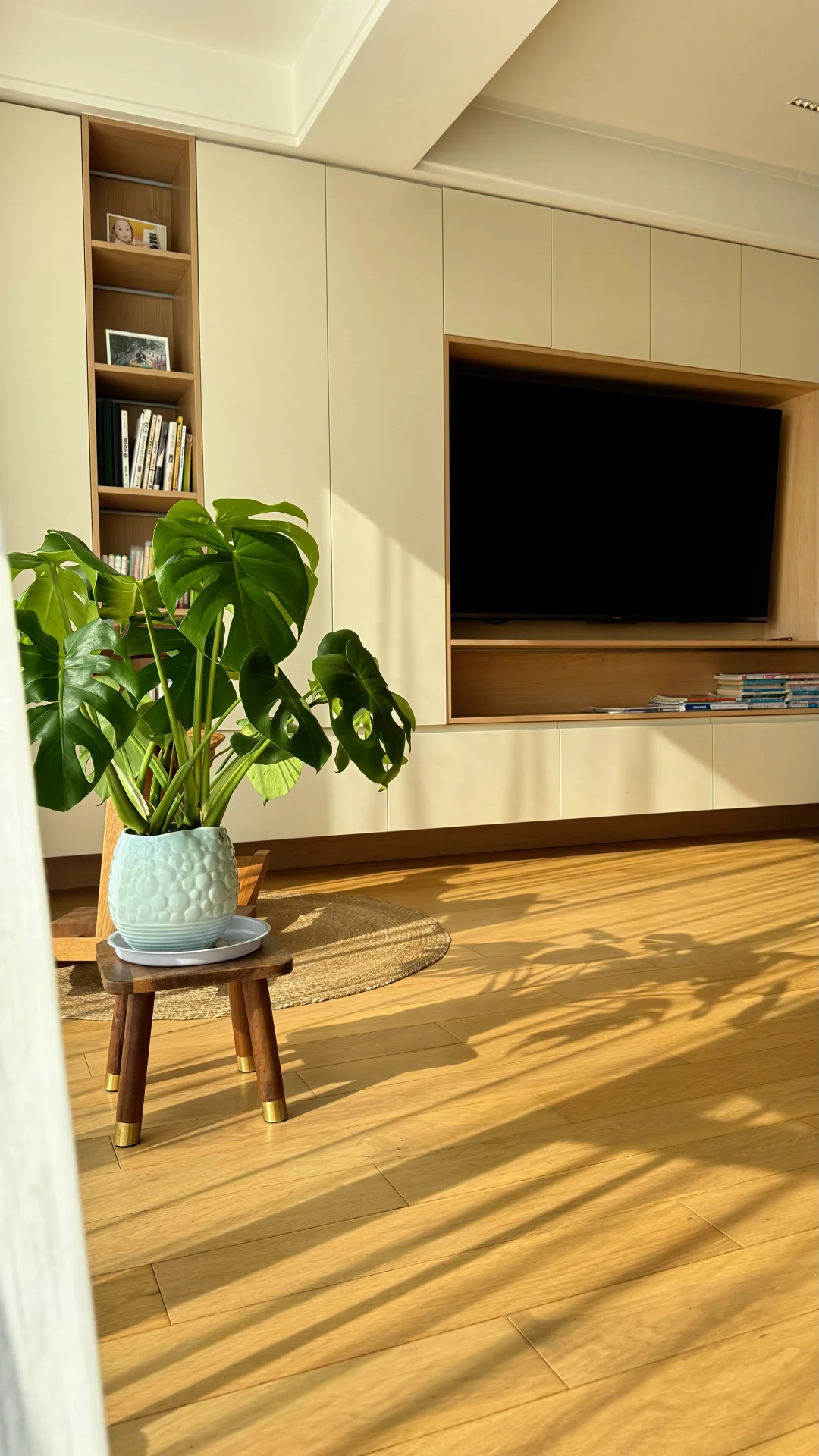 普通人家的二楼，因阳光而富足☀️