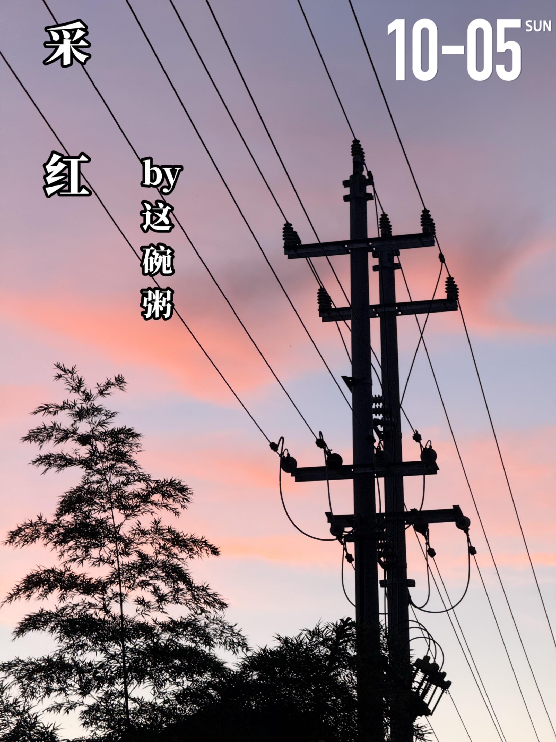 《采红》by这碗粥。一场意外，周红红和程意有了牵扯，周红红差点被程意的...