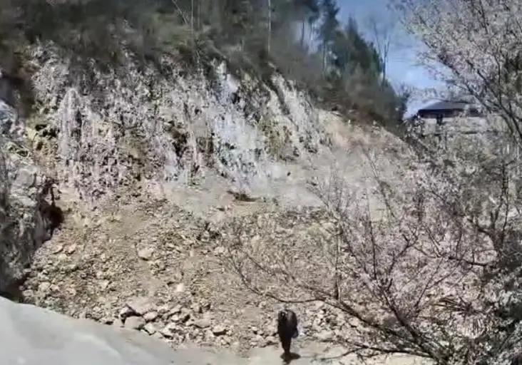 "匪夷所思！"重庆，一位60岁男子独自在家生活，突然人间蒸发两个月，家属发现男子