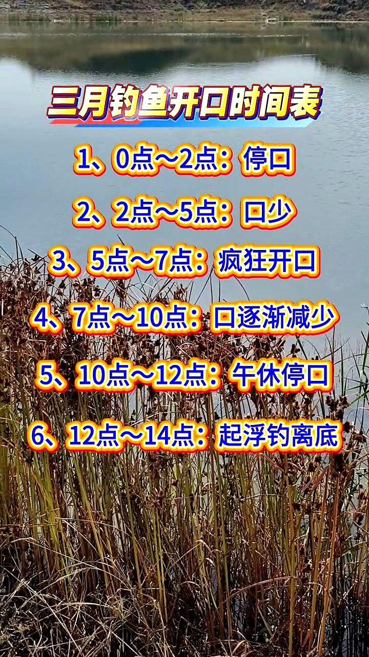 三月钓鱼，记住5点到7点！就这两个小时，鱼都疯了。真不是吹，那会儿水温刚上来
