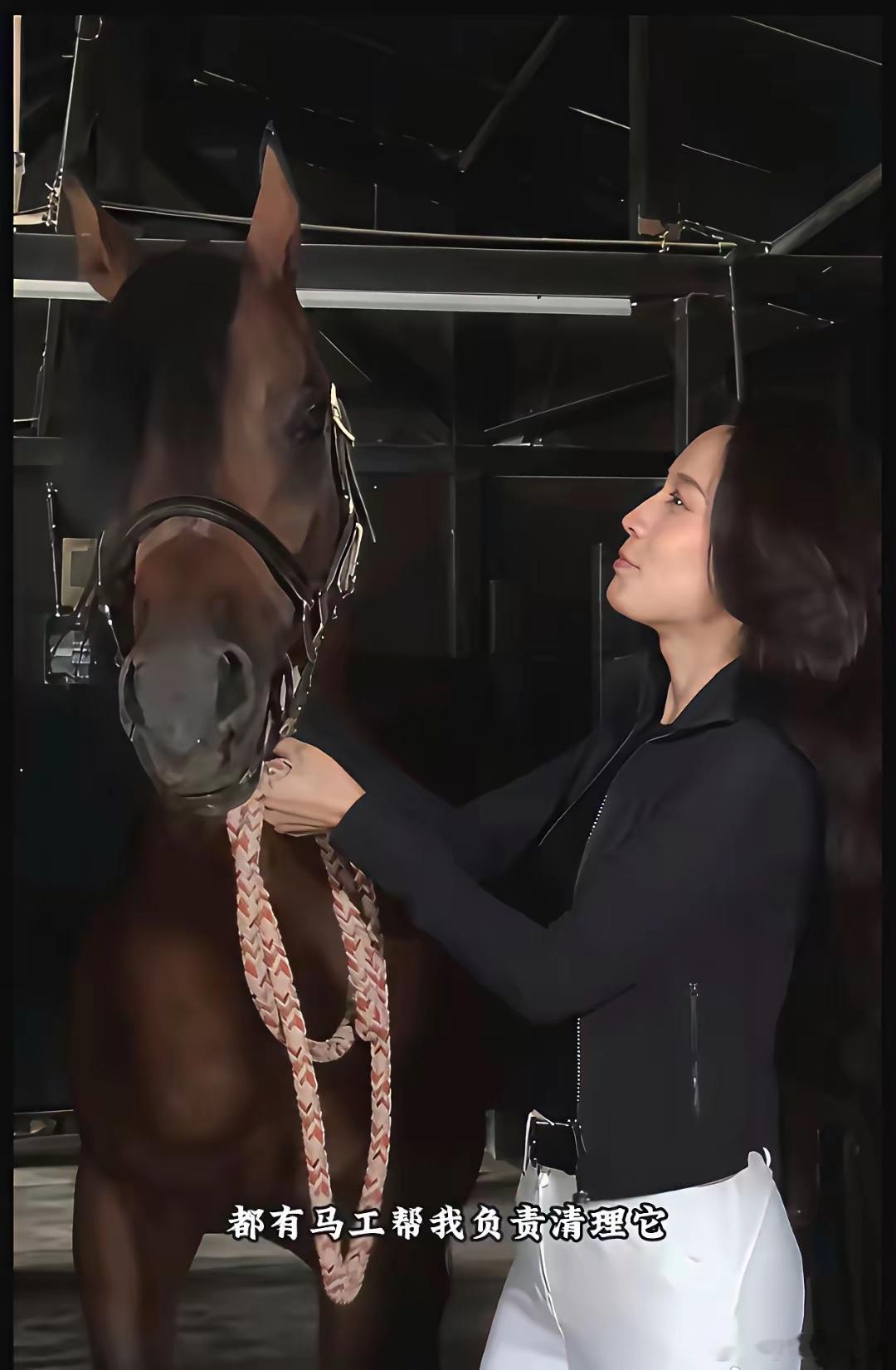 汪峰女友森林北，真有钱，养了一匹进口阿拉伯马当宠物，这马光价格就几十万，一年饲养