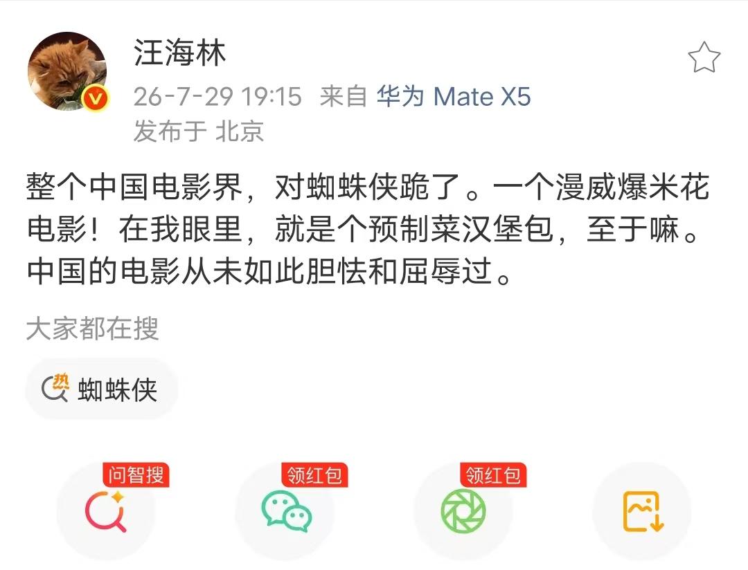 汪海林点评《蜘蛛侠4》，被网友骂上热搜。汪海林说在他眼里，《蜘蛛侠》就是个预制