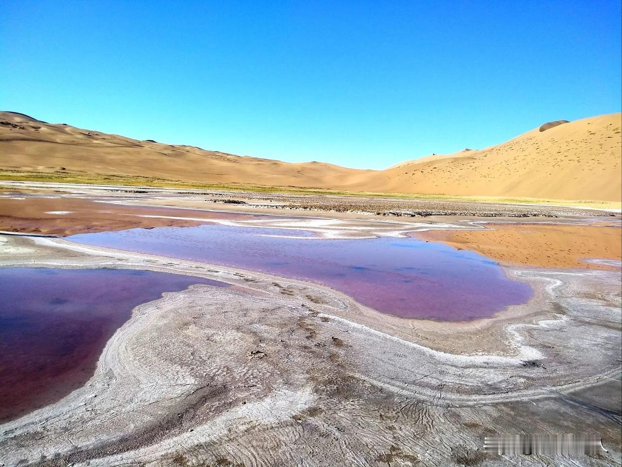 11月27日报道万万没想到，一次再普通不过的野外调查，居然能发现这么罕见的景象！