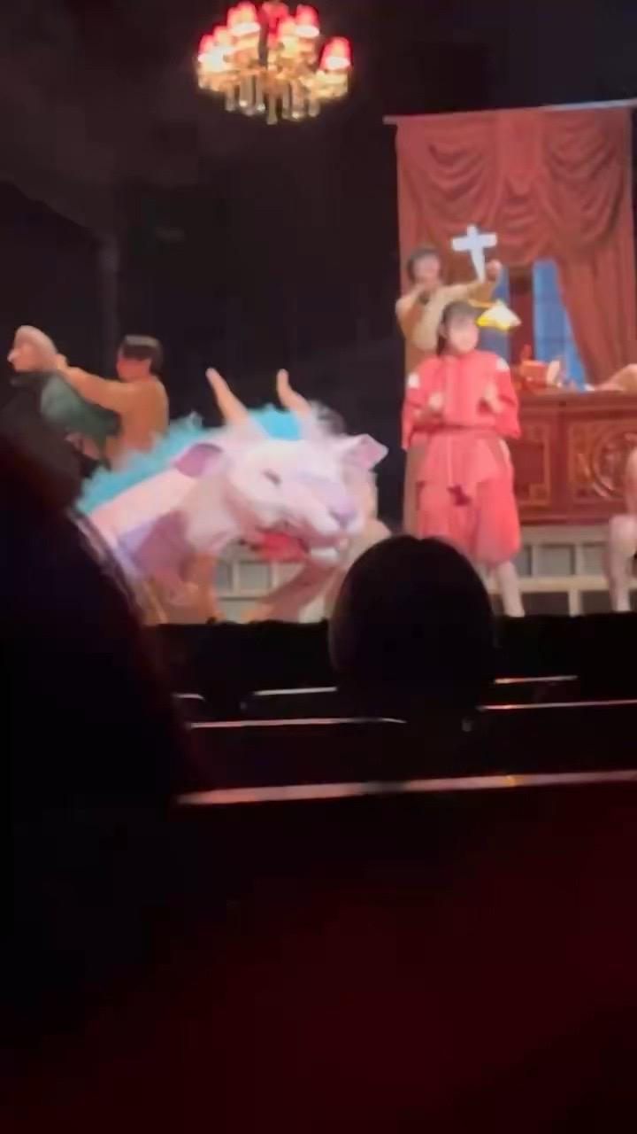 玩回来了