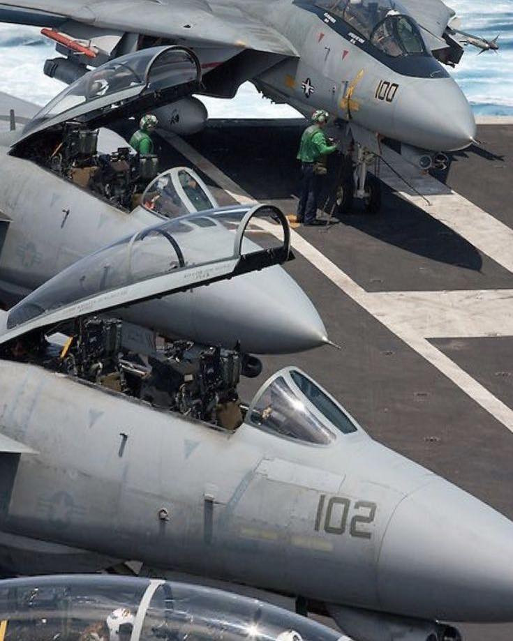 猫宁。在甲板上小憩的F-14大猫们