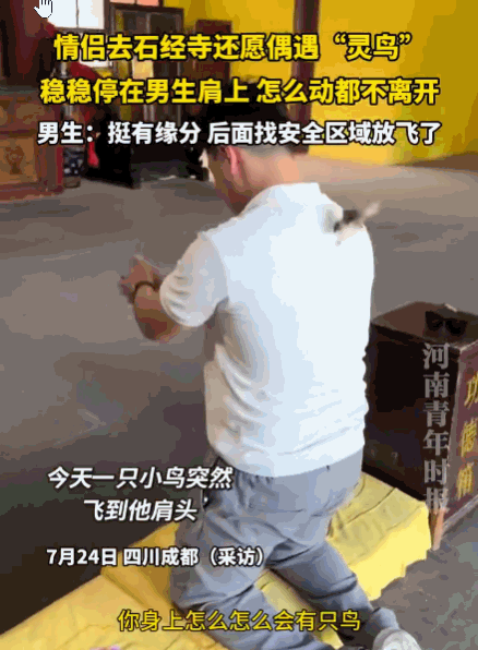 鸟栖择木，福不入祸门！四川成都，一对情侣正在虔诚地还愿，一只小鸟突然直奔男生而去