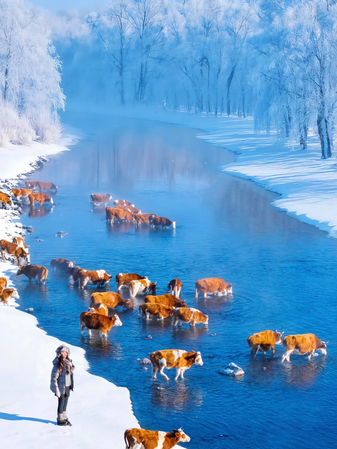 没踩雷🫡第一次去阿尔山 直接照抄这份攻略