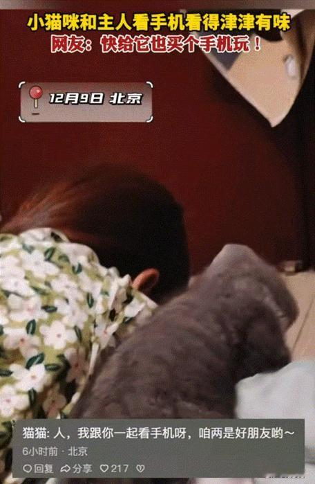 太有灵性了！北京，小主人趴在床上正在看手机，猫咪看到后快速跑来凑热闹。直接把小脑