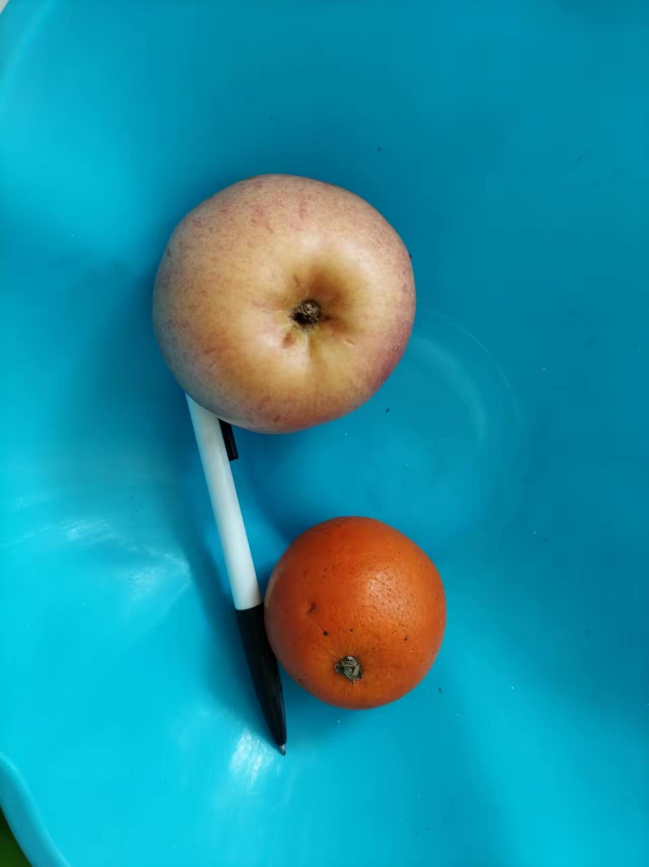 年轻人，请相信张雪峰说的这句话：将来你找不到工作了，愿意养你的，只有你爸你妈！