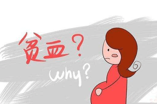 确诊贫血这三项检查少不了