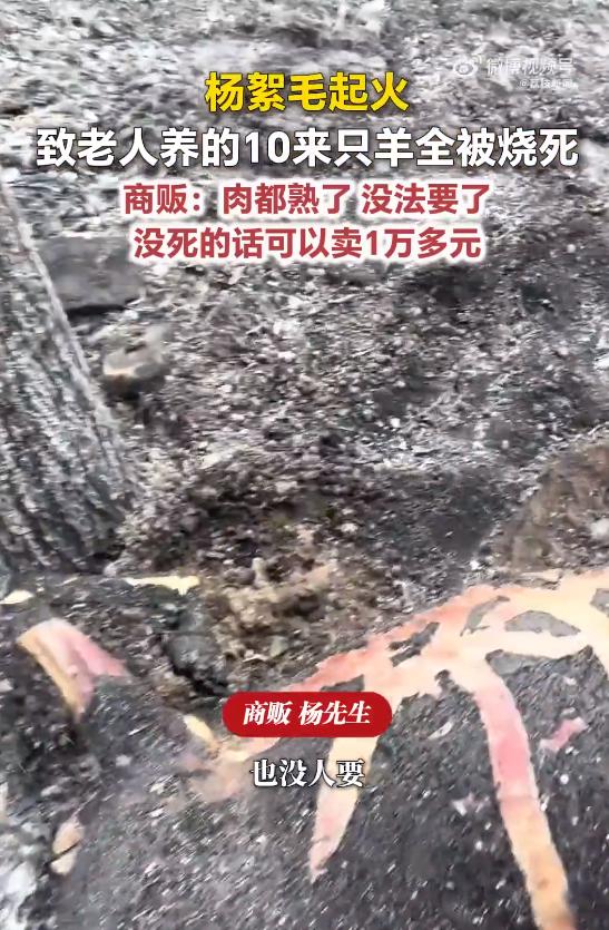 太揪心了！5月12日据报道，4月下旬山东德州突发意外！漫天杨絮看似绵软无