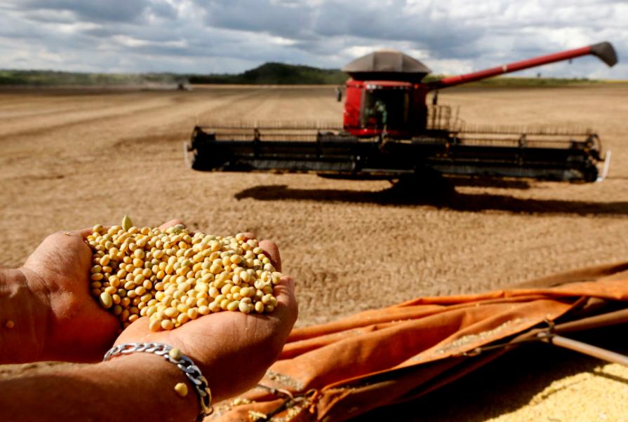 一夜之间，巴西沉默了巴西大豆价格攀升至650美元/吨，这让巴西大豆商欣喜不已