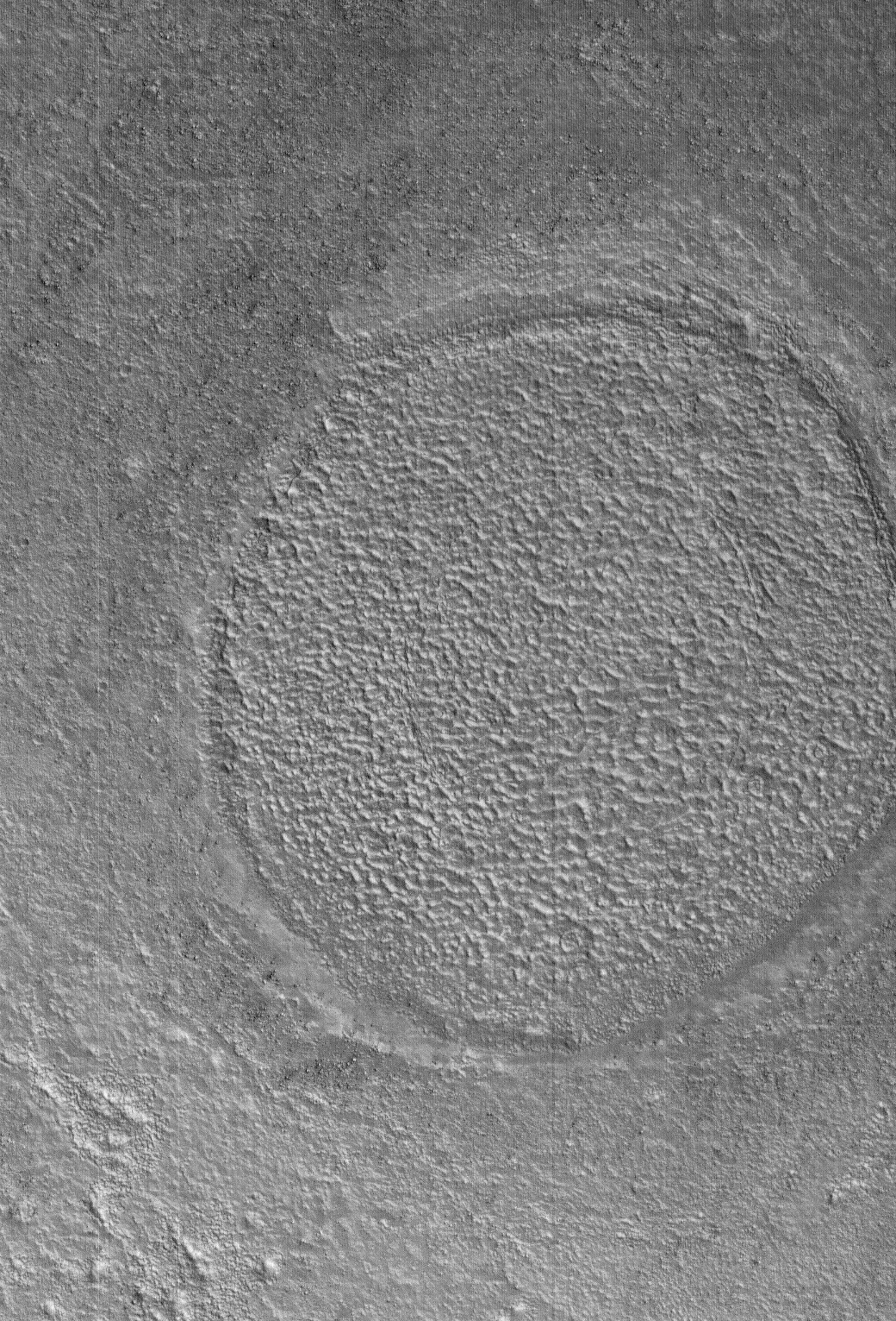 天问一号环绕器高分辨率相机火星影像，拍摄时间：2025年12月9日。来源：天问一