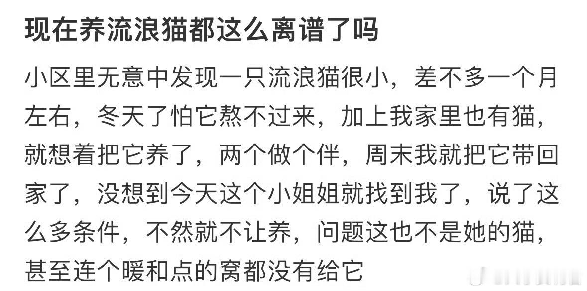 现在养流浪猫都这么离谱了吗？​​​