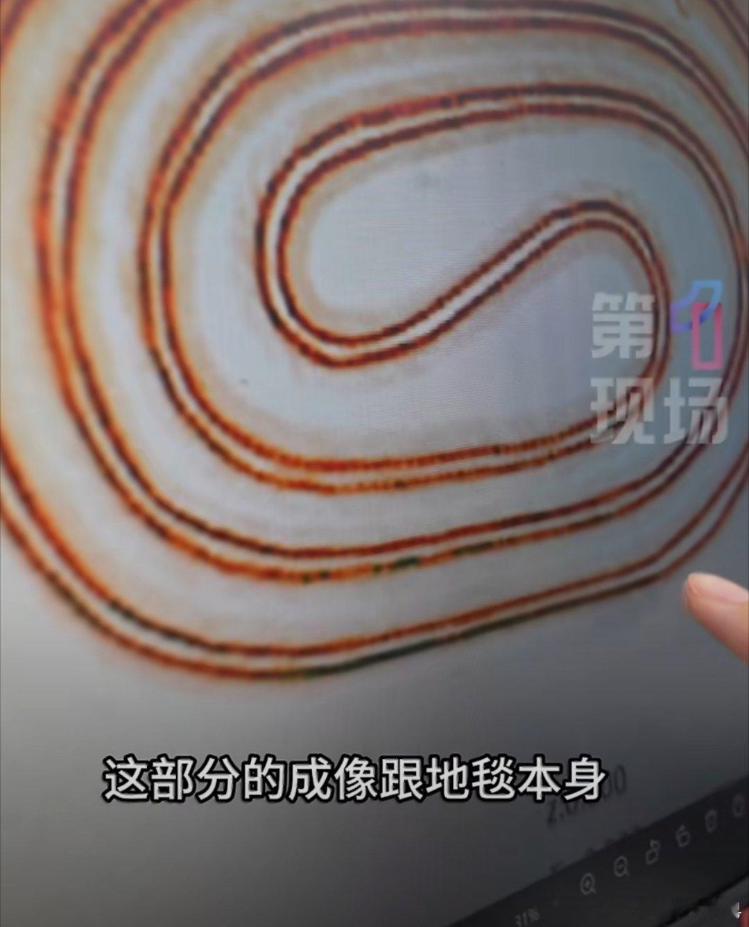 56斤冰毒渗入地毯企图蒙混过关好像我之前看过哪个节目里有说过用地毯带毒品。现实