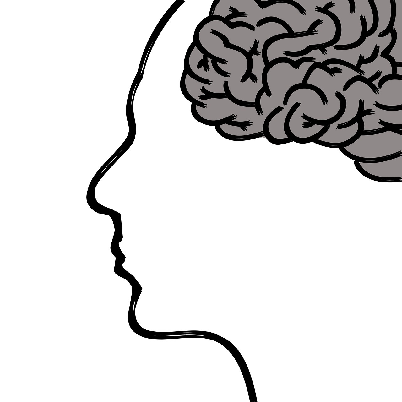 斯坦福大学塞尔久·帕什卡团队把人类皮层类器官移植到基因编辑的天生无皮层小鼠脑内。