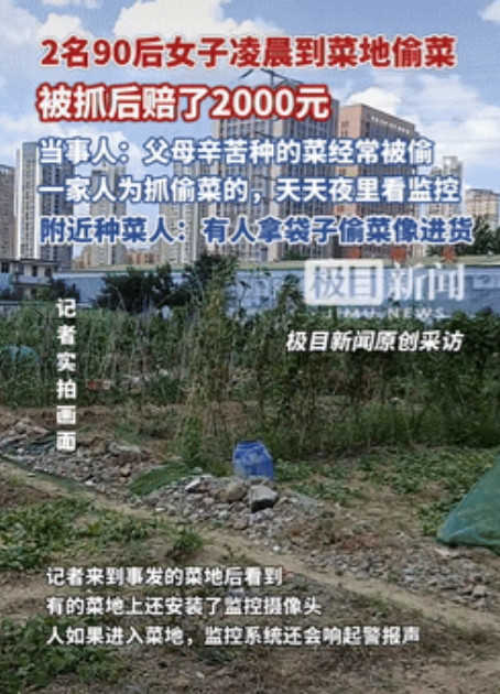 缺大德了！安徽合肥，一老夫妻种的菜经常被偷，无奈之下，只好往地里装监控，直到一天