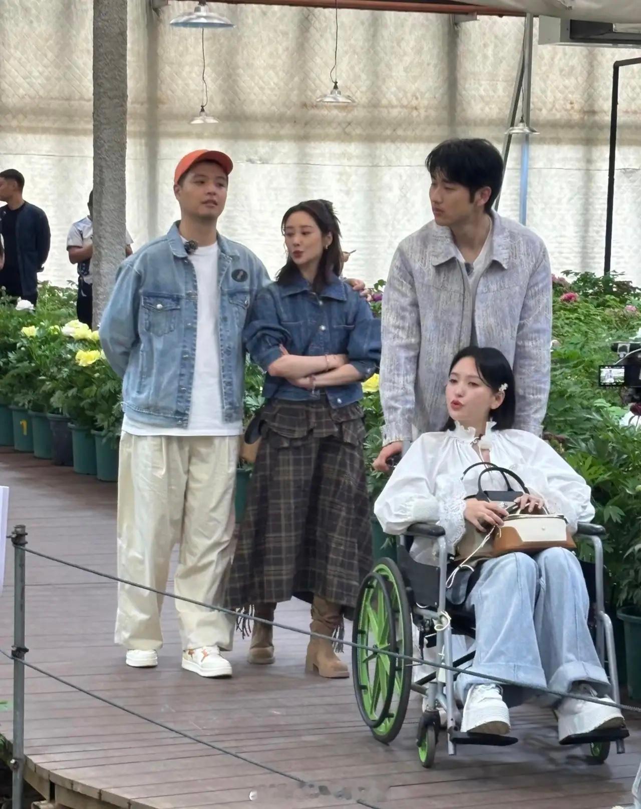 金莎和老公孙丞潇现身河南洛阳植物园游玩，她看起来胖了不少，坐在轮椅上，由老公推着