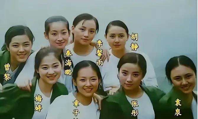 都说曾黎是两百年难遇的大美女可是在这张合照里我却被梅婷吸引了和梅婷比起来