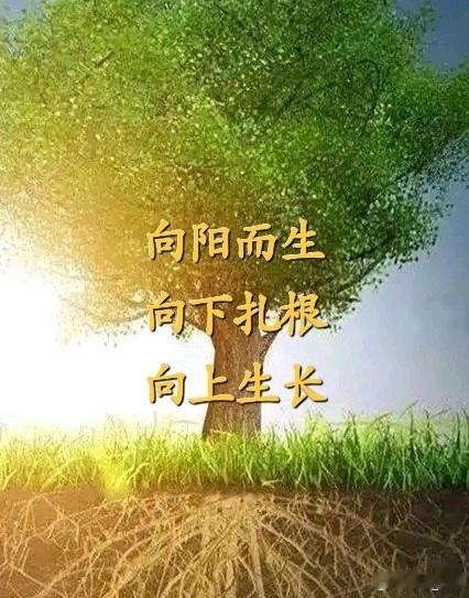 中医气的生成：脏腑协作的养气密码中医里的气，是人体内活力极强、运行不息的极精微物